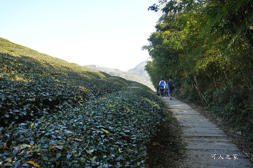 好走步道,高山美景