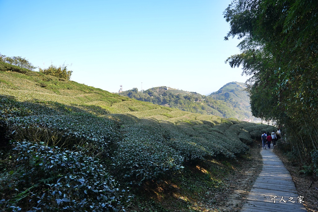 好走步道,高山美景