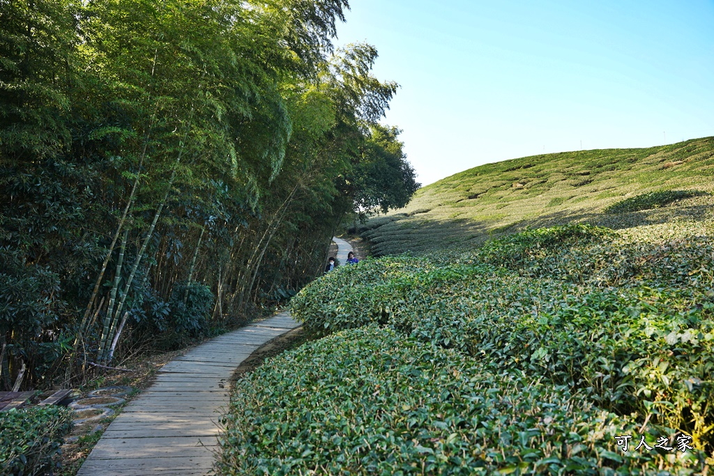 好走步道,高山美景