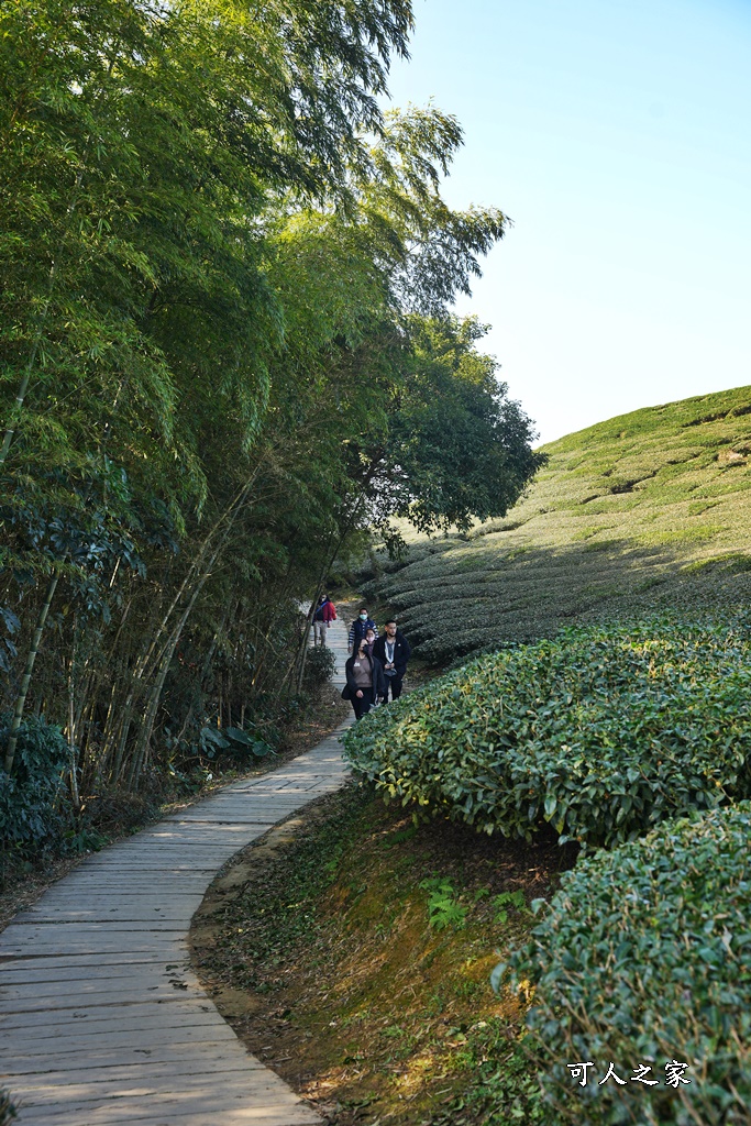 好走步道,高山美景