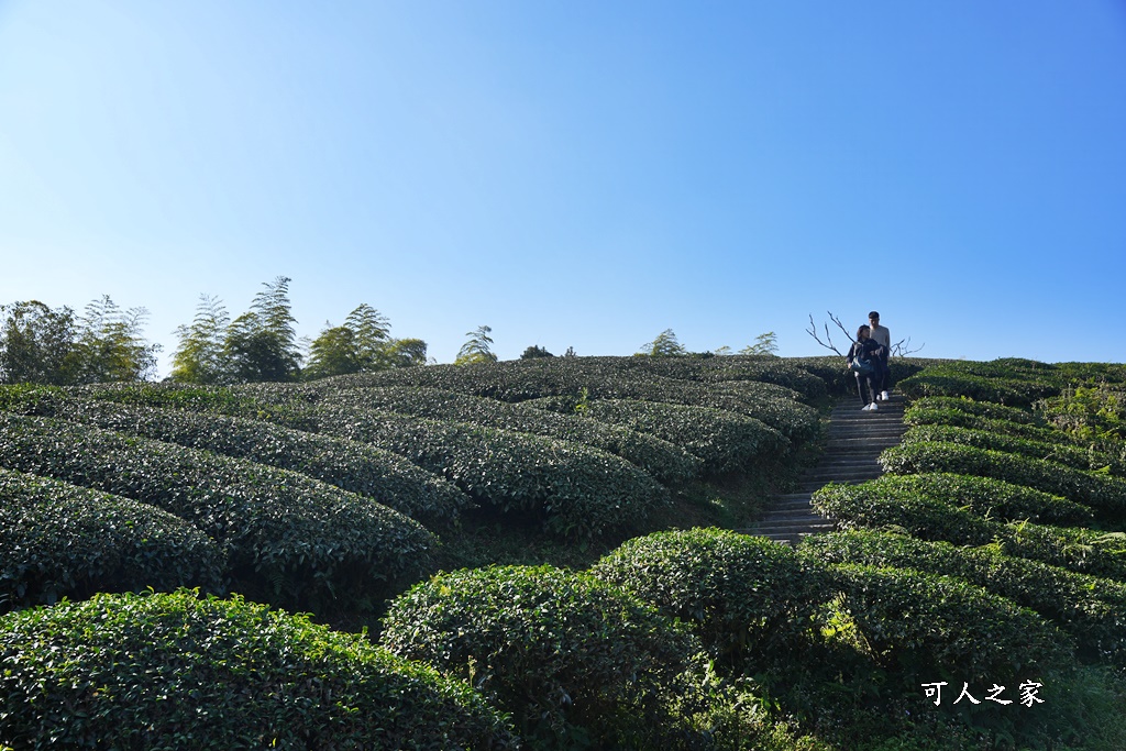 好走步道,高山美景