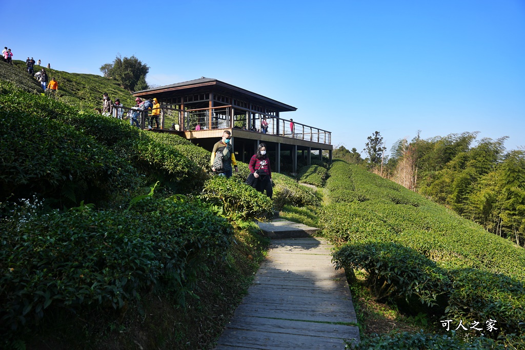 好走步道,高山美景