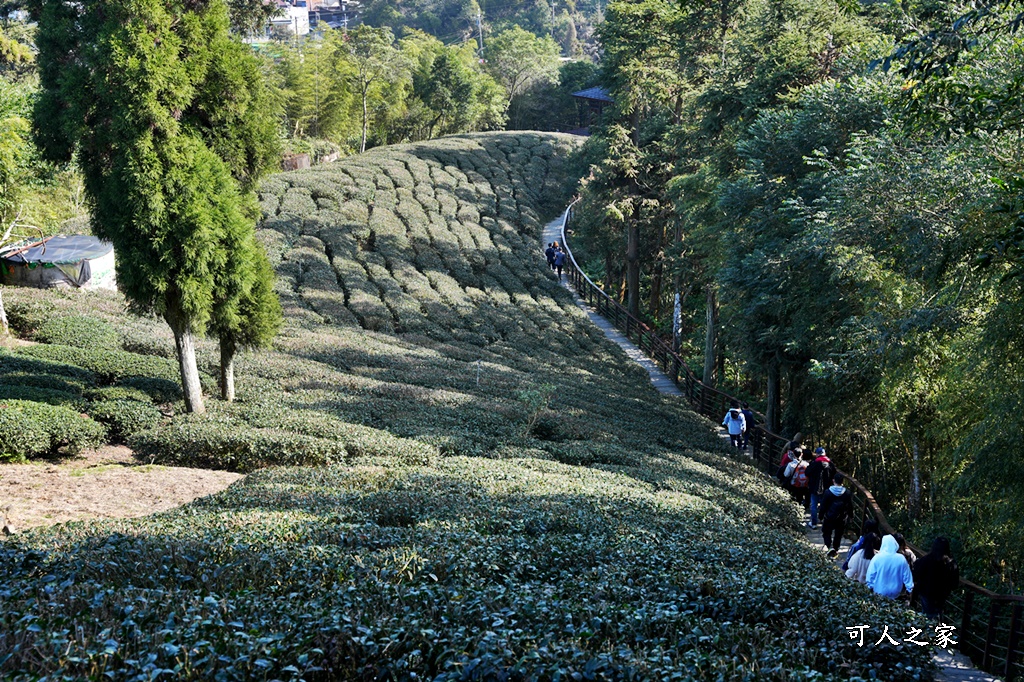 好走步道,高山美景