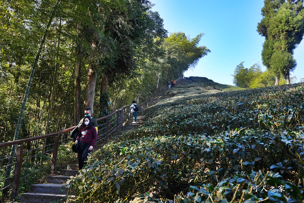 好走步道,高山美景