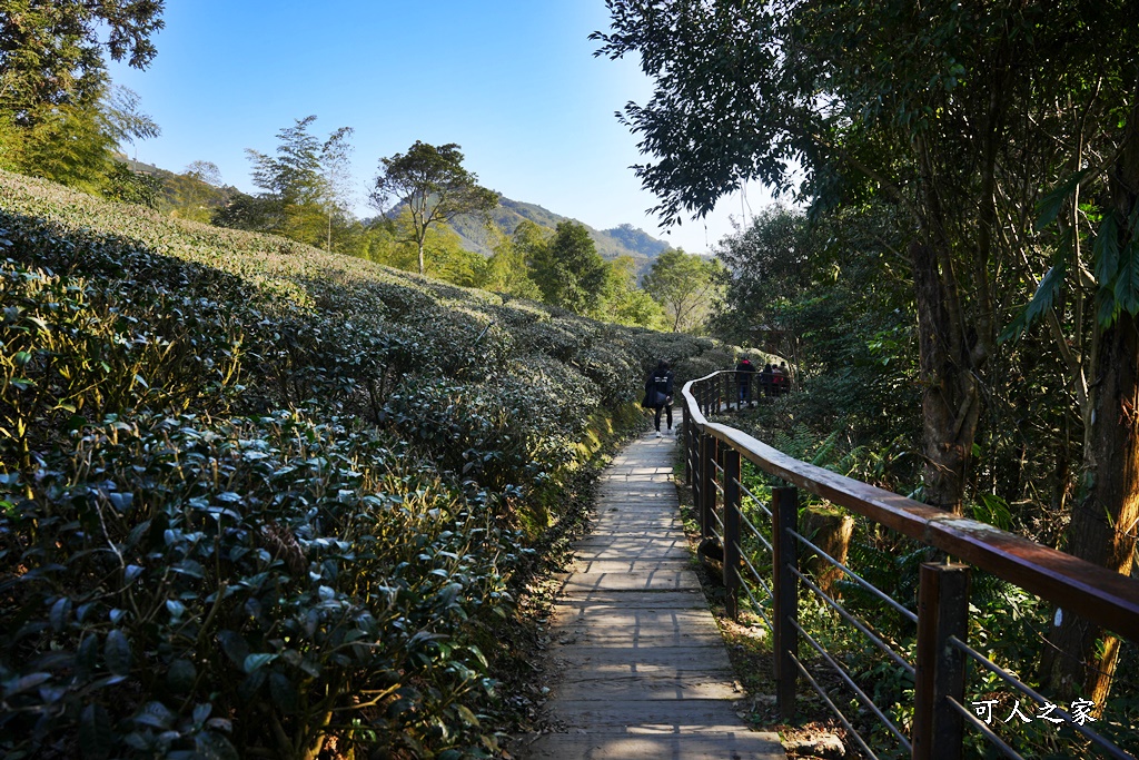 好走步道,高山美景