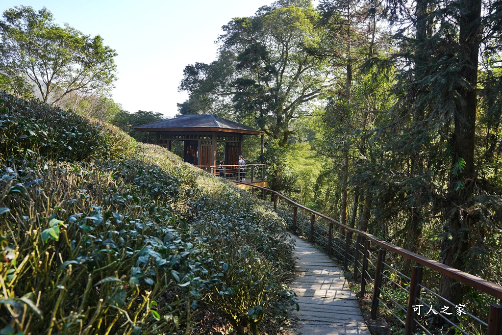 好走步道,高山美景