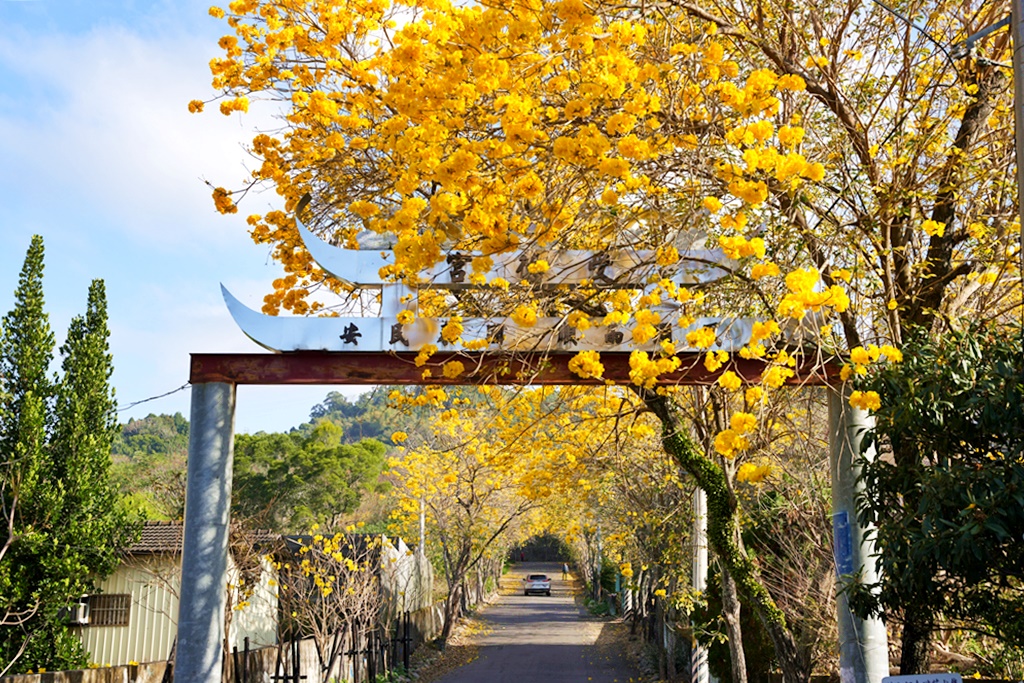 一日遊,二水鄉,彰化縣,旅遊,泡湯,火車,爬山,社頭,親子遊,豐伯廣場,附近景點,黃金隧道