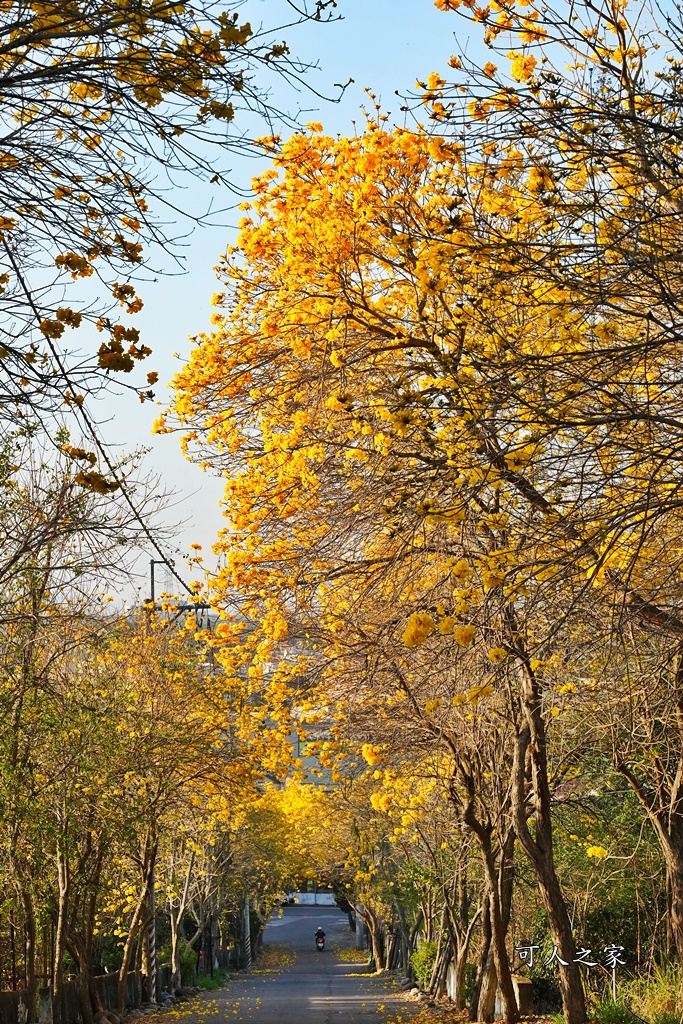 一日遊,二水鄉,彰化縣,旅遊,泡湯,火車,爬山,社頭,親子遊,豐伯廣場,附近景點,黃金隧道