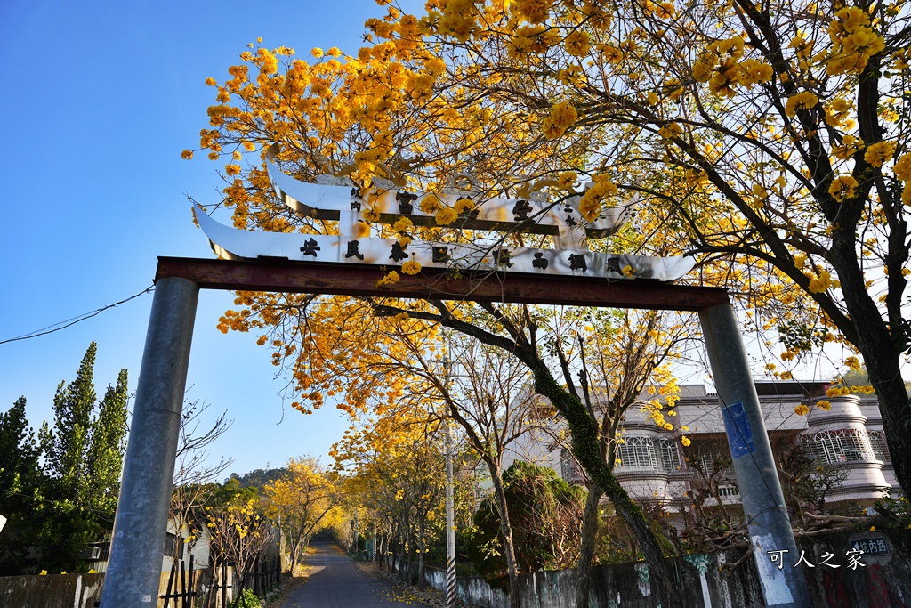 一日遊,二水鄉,彰化縣,旅遊,泡湯,火車,爬山,社頭,親子遊,豐伯廣場,附近景點,黃金隧道