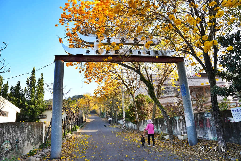 一日遊,二水鄉,彰化縣,旅遊,泡湯,火車,爬山,社頭,親子遊,豐伯廣場,附近景點,黃金隧道