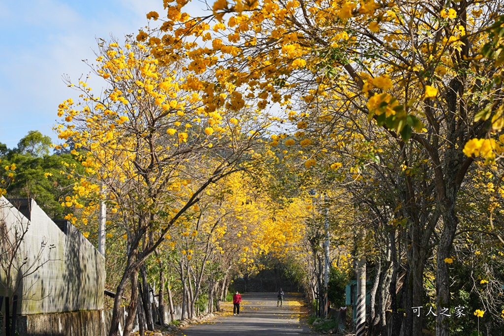 一日遊,二水鄉,彰化縣,旅遊,泡湯,火車,爬山,社頭,親子遊,豐伯廣場,附近景點,黃金隧道