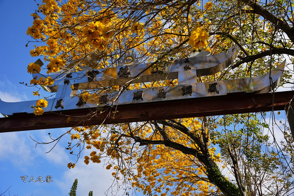 一日遊,二水鄉,彰化縣,旅遊,泡湯,火車,爬山,社頭,親子遊,豐伯廣場,附近景點,黃金隧道