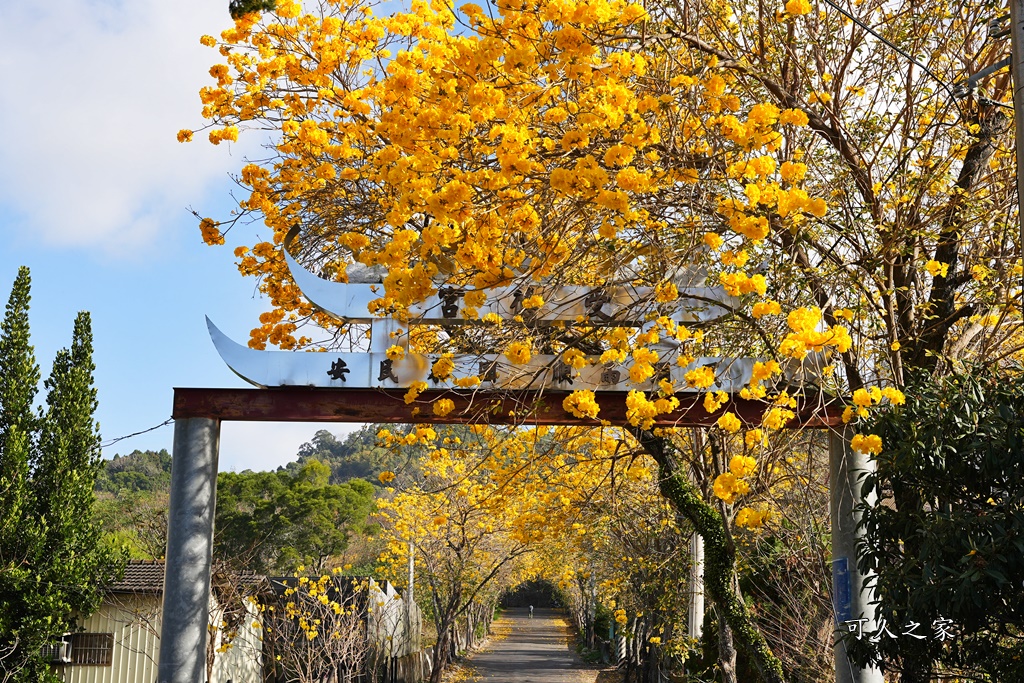 一日遊,二水鄉,彰化縣,旅遊,泡湯,火車,爬山,社頭,親子遊,豐伯廣場,附近景點,黃金隧道