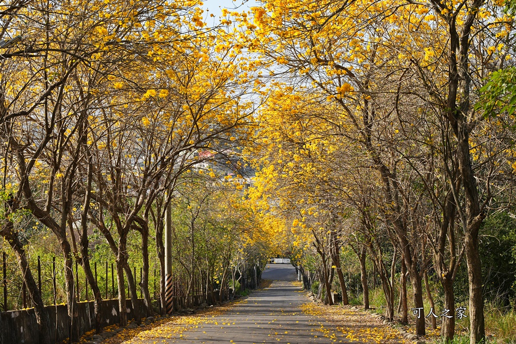 一日遊,二水鄉,彰化縣,旅遊,泡湯,火車,爬山,社頭,親子遊,豐伯廣場,附近景點,黃金隧道