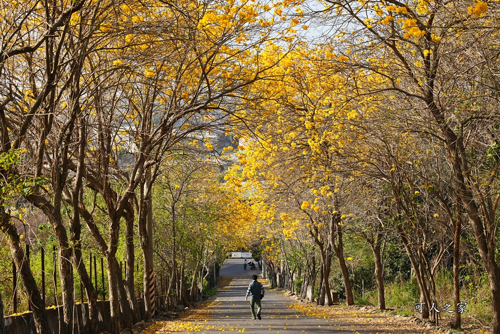 一日遊,二水鄉,彰化縣,旅遊,泡湯,火車,爬山,社頭,親子遊,豐伯廣場,附近景點,黃金隧道