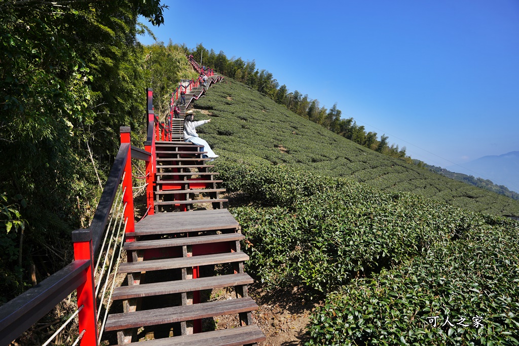 二尖山步道,嘉義抹茶山,嘉義景點步道,頂尖觀光農場