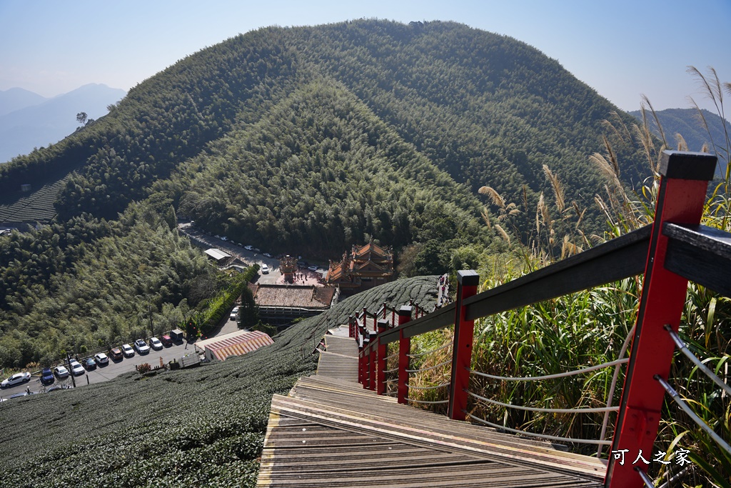 二尖山步道,嘉義抹茶山,嘉義景點步道,頂尖觀光農場,高山美景