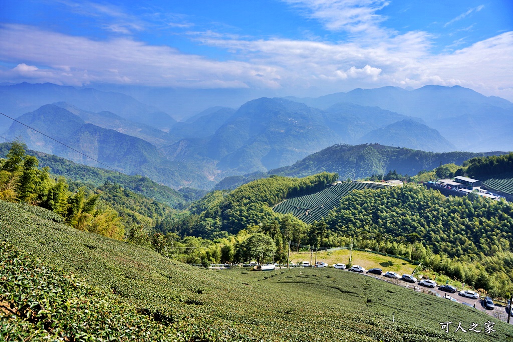 二尖山步道,嘉義抹茶山,嘉義景點步道,頂尖觀光農場,高山美景