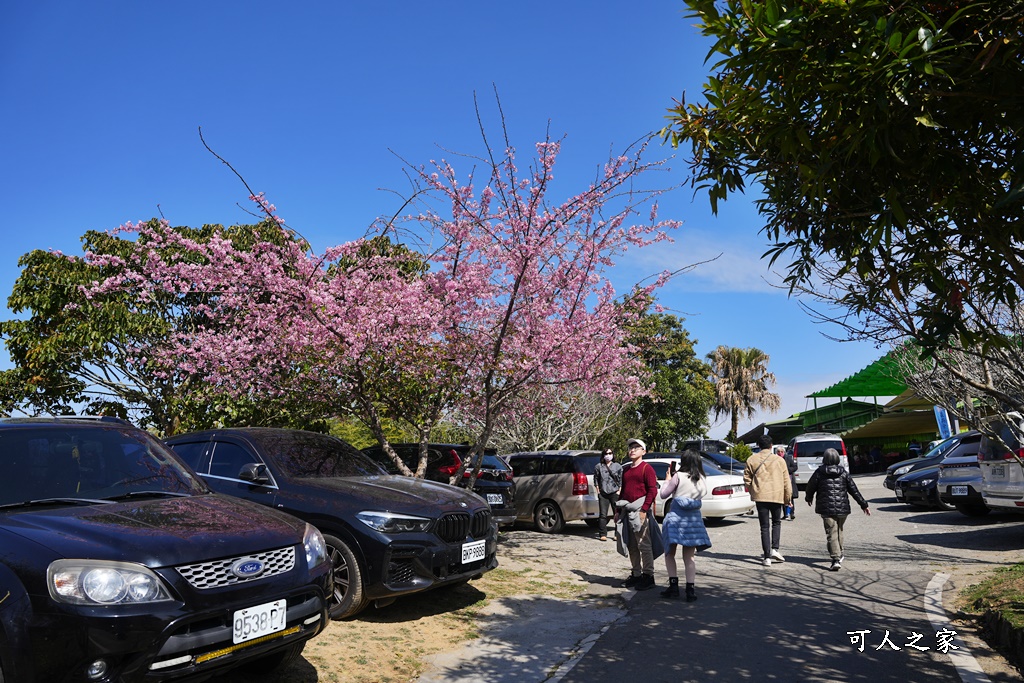 二尖山步道,嘉義抹茶山,嘉義景點步道,頂尖觀光農場,高山美景