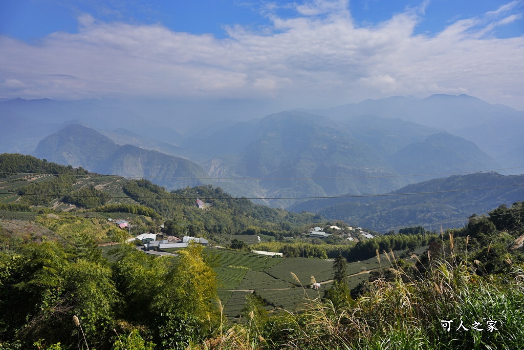 二尖山步道,嘉義抹茶山,嘉義景點步道,頂尖觀光農場,高山美景