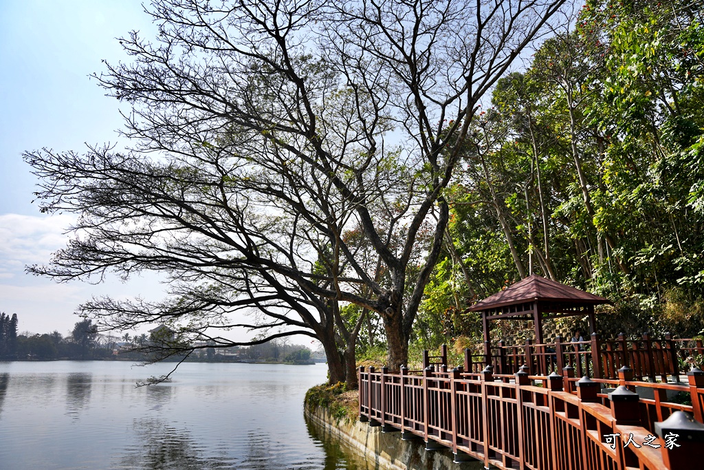 台南地景公園,台南魚頭君,特色遊戲場,虎頭埤風景區