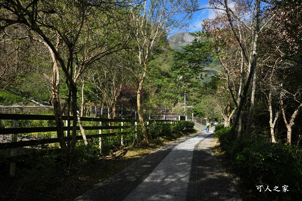 太魯閣工藝展示館,布洛灣吊橋(山月吊橋）,高山美景