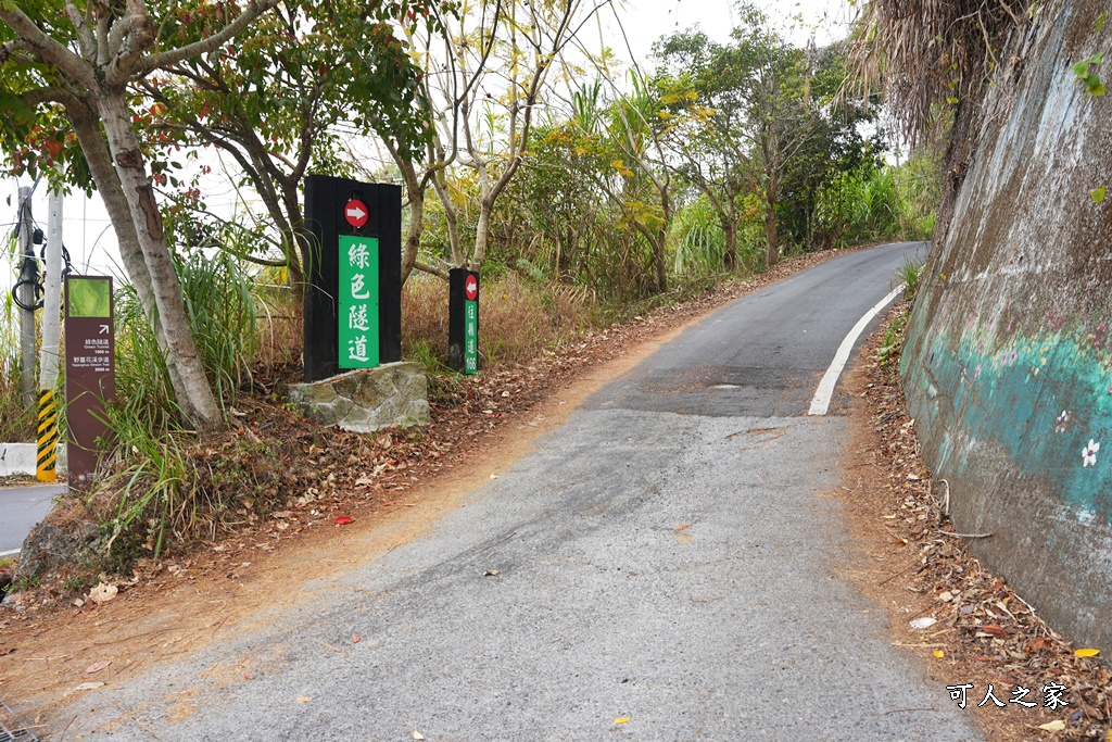 瑞里綠色隧道