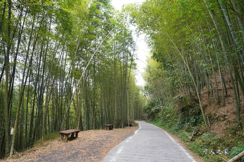 瑞里綠色隧道