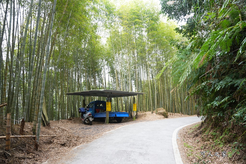 瑞里綠色隧道