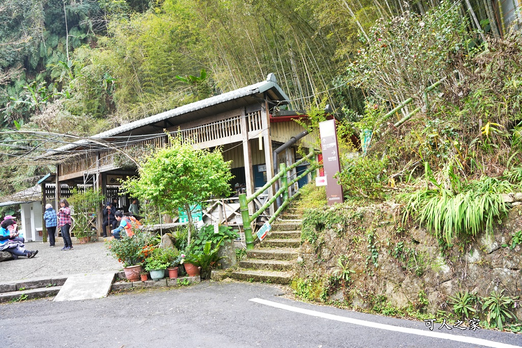 瑞里綠色隧道