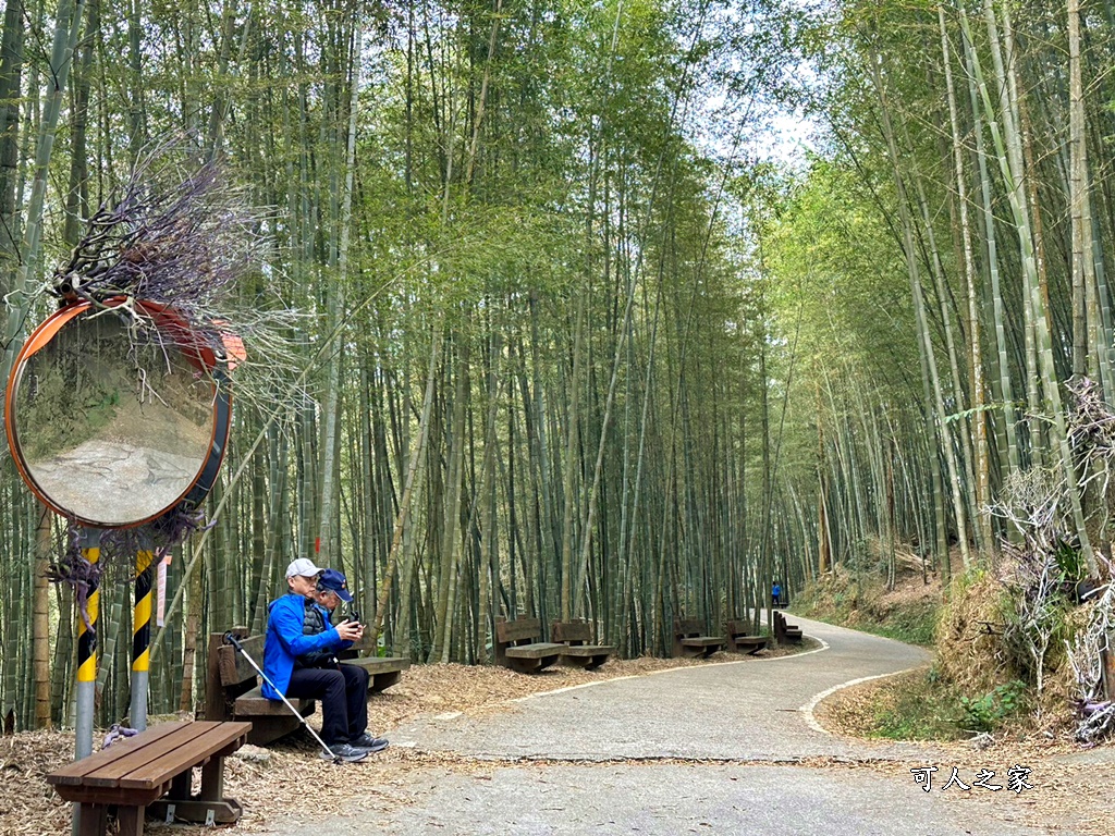 瑞里綠色隧道