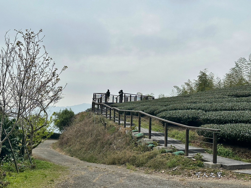 瑞里綠色隧道