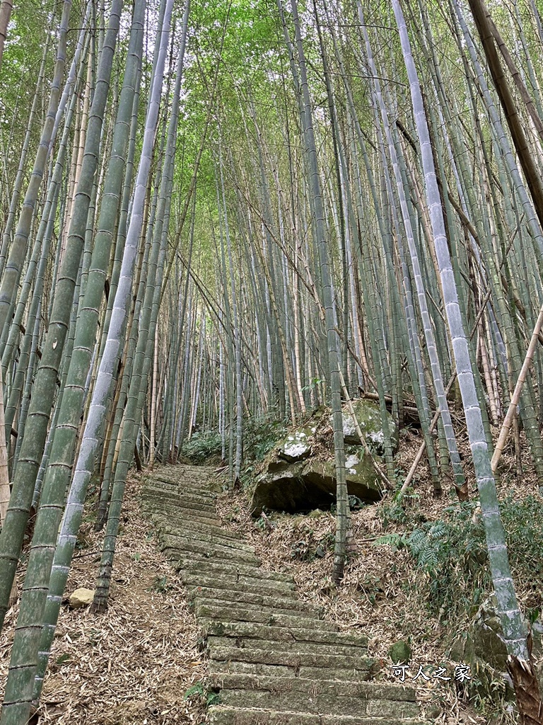 瑞里綠色隧道