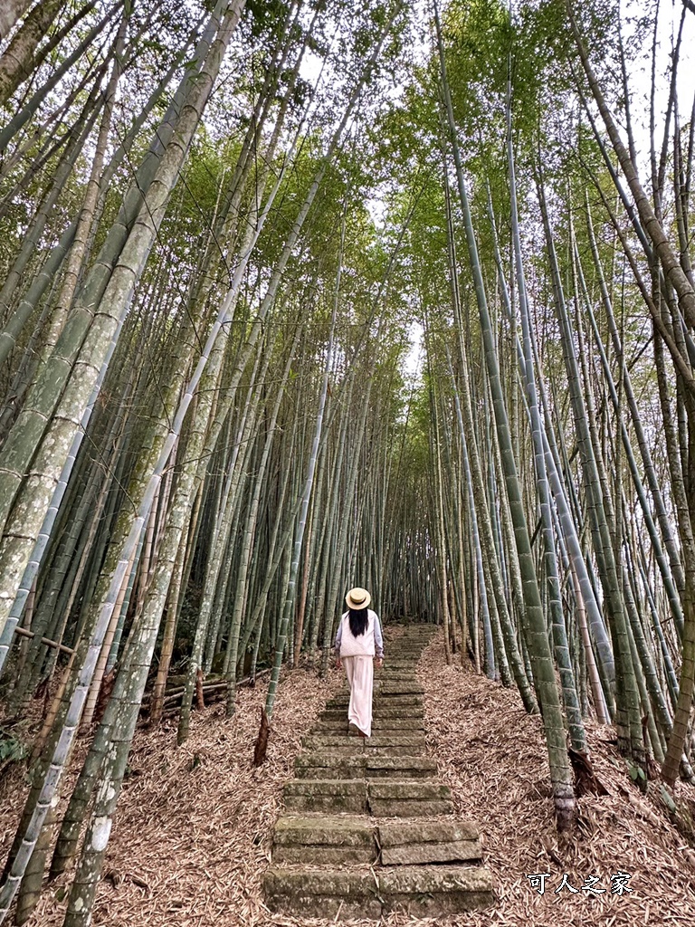 瑞里綠色隧道