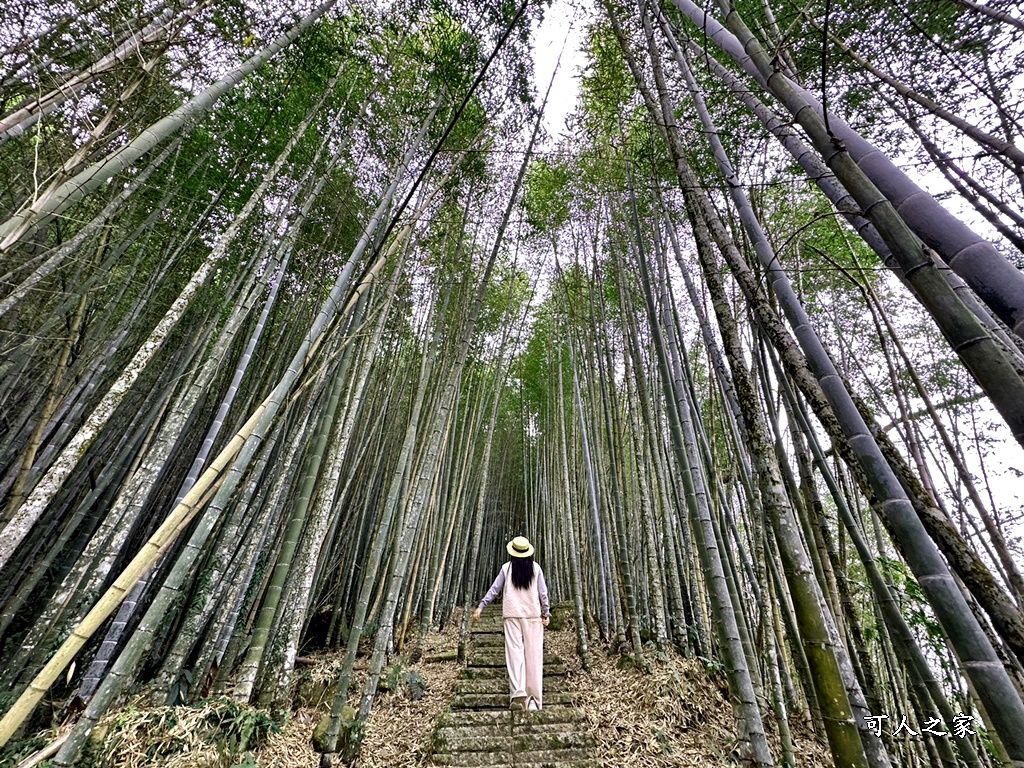 瑞里綠色隧道