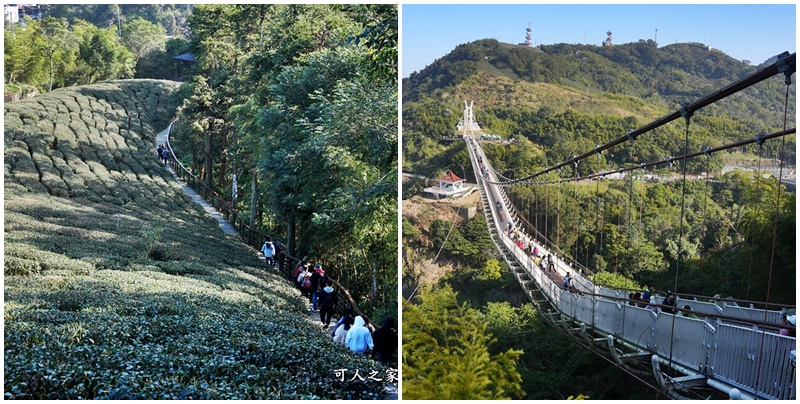 好走步道,高山美景 @可人之家