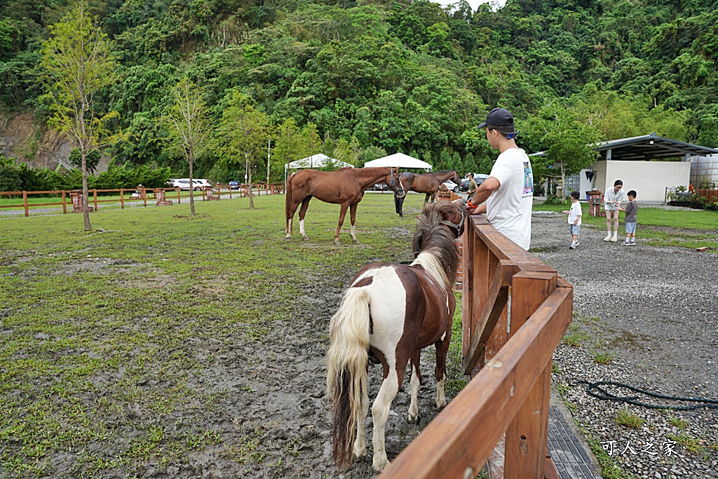 台南山裏,台南懶人露營區,山裏咖啡,山裏露營區,山裏露營車,關子嶺咖啡,關子嶺喝咖啡