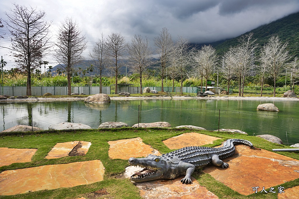 洄瀾灣景觀餐廳,洄瀾灣景觀餐廳 最新資訊,花蓮動物園,花蓮新景點,花蓮水豚君,花蓮狐獴,花蓮笑笑咩,花蓮草泥馬