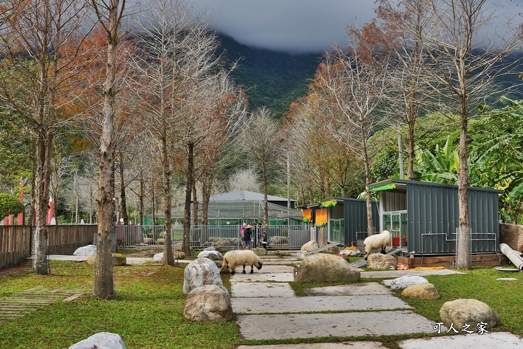 洄瀾灣景觀餐廳,洄瀾灣景觀餐廳 最新資訊,花蓮動物園,花蓮新景點,花蓮水豚君,花蓮狐獴,花蓮笑笑咩,花蓮草泥馬