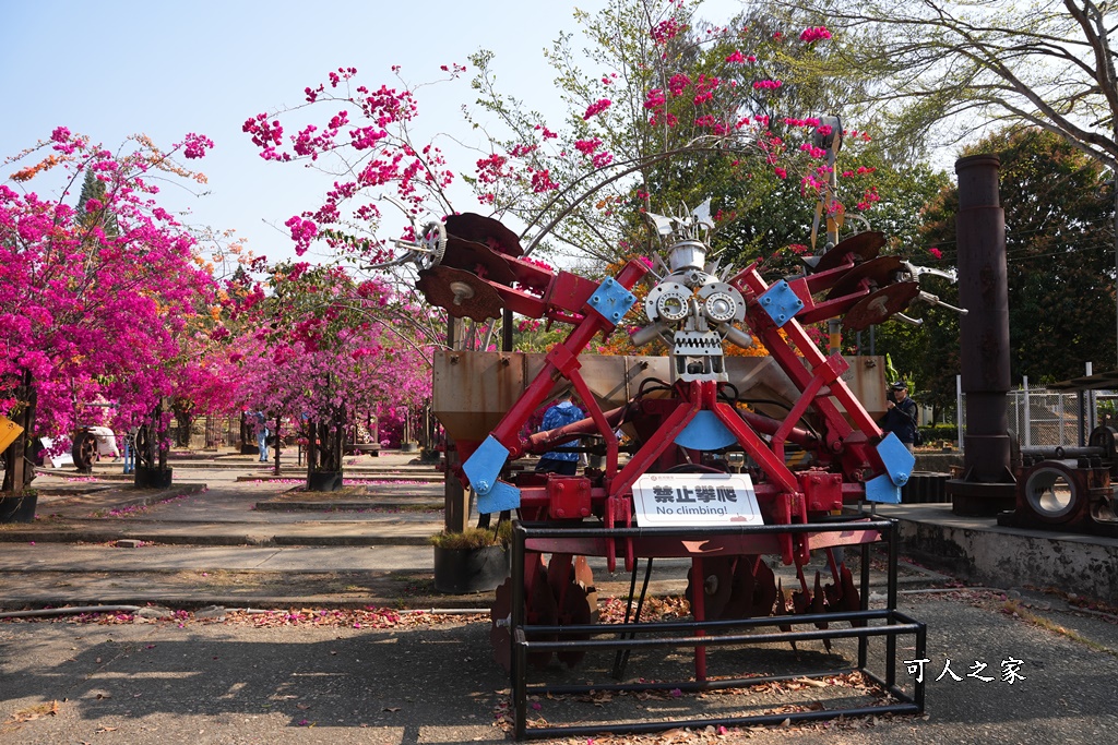 橋頭糖廠,鐵園迷城九重葛