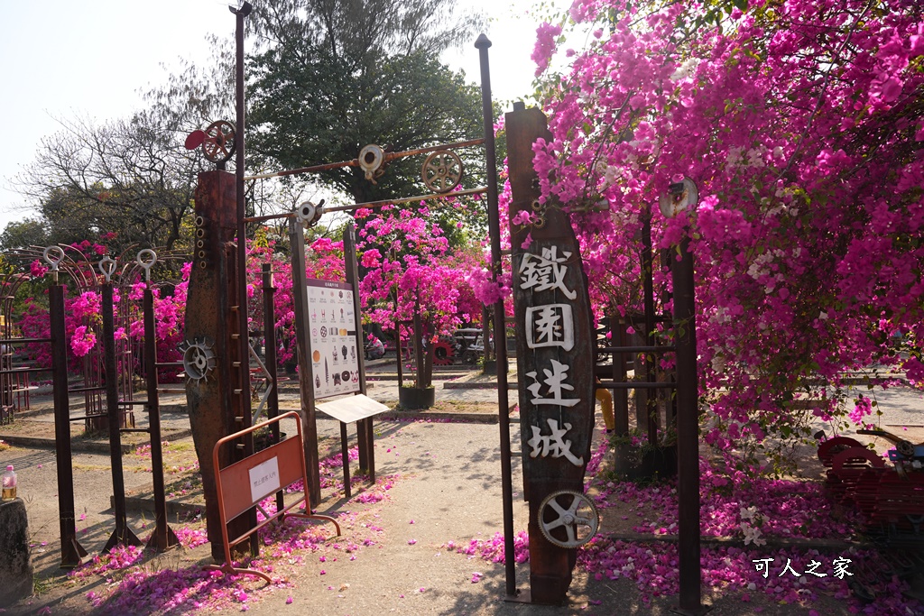 橋頭糖廠,鐵園迷城九重葛