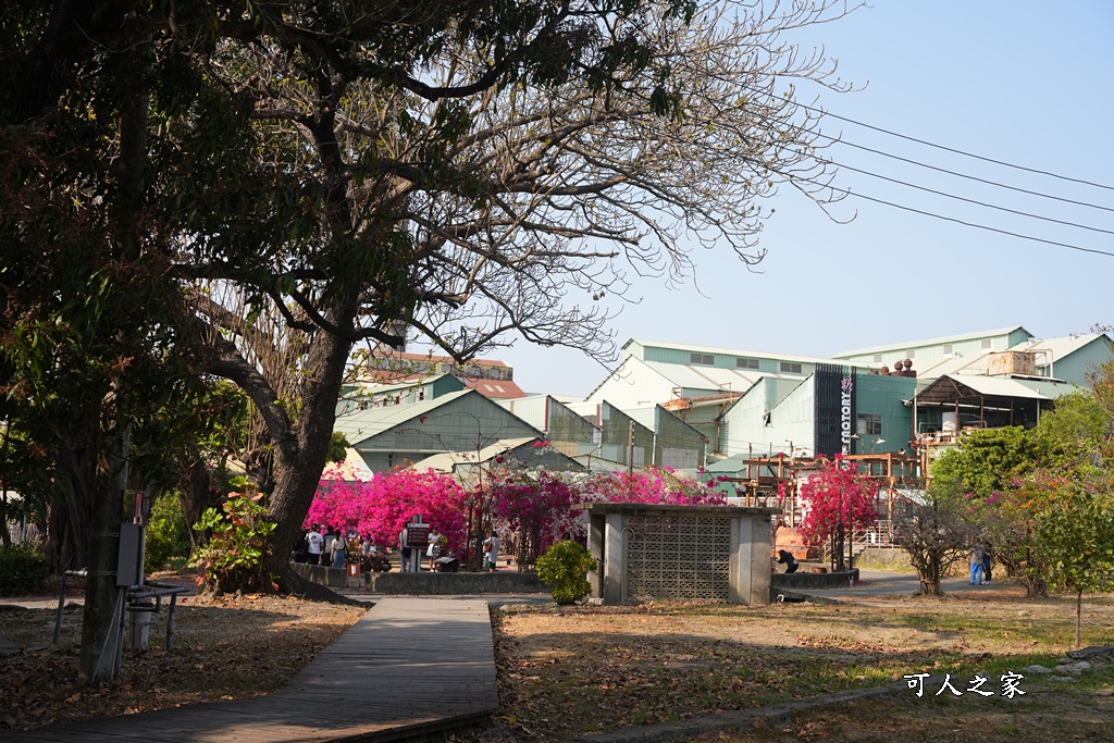 橋頭糖廠,鐵園迷城九重葛