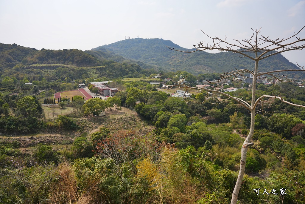 台南山裏,台南懶人露營區,山裏咖啡,山裏露營區,山裏露營車,關子嶺咖啡,關子嶺喝咖啡