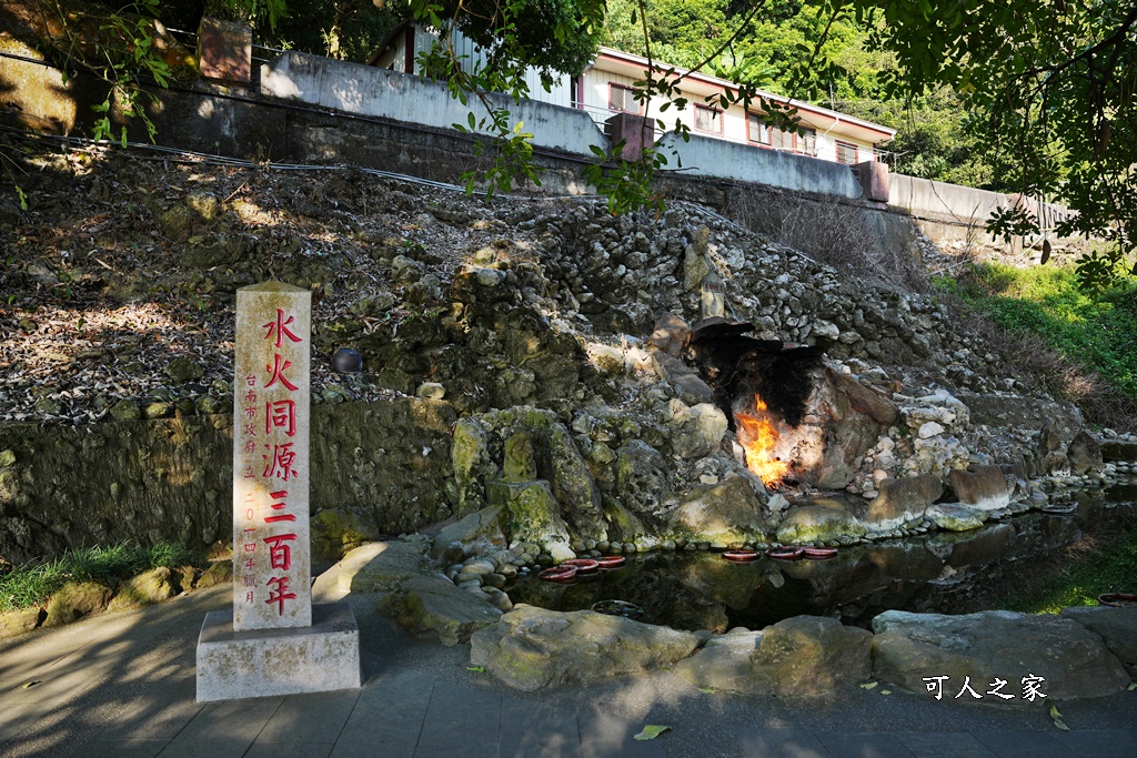 台南白河一日遊,台南關子嶺一日遊,白河木棉花季