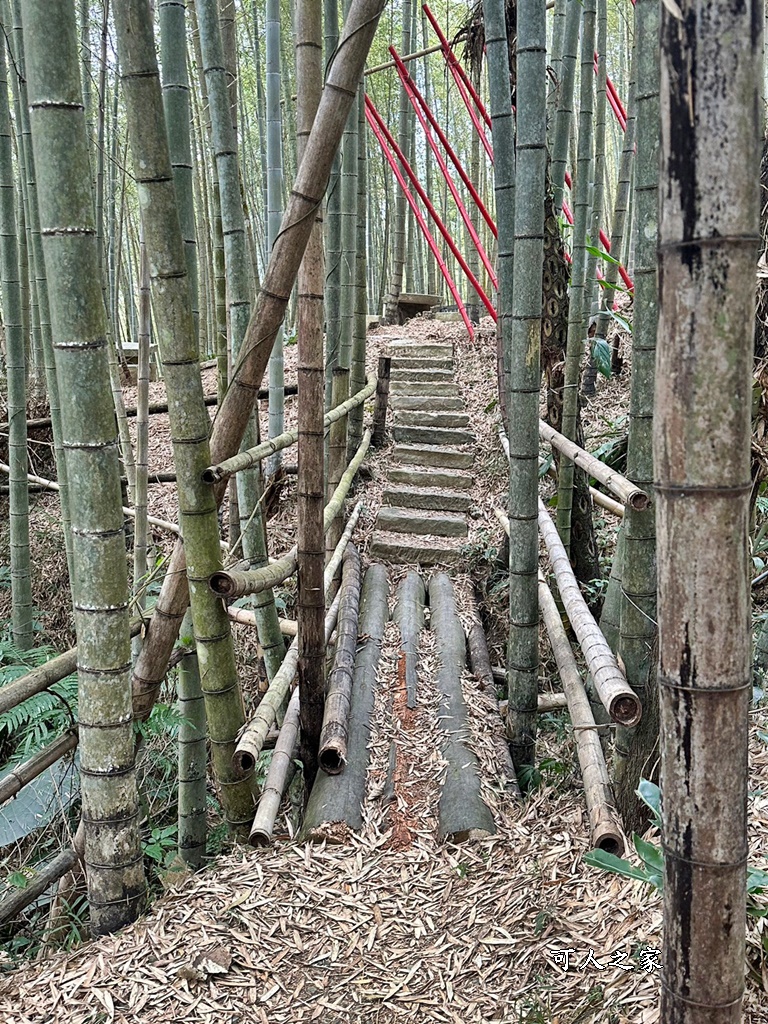 瑞里綠色隧道