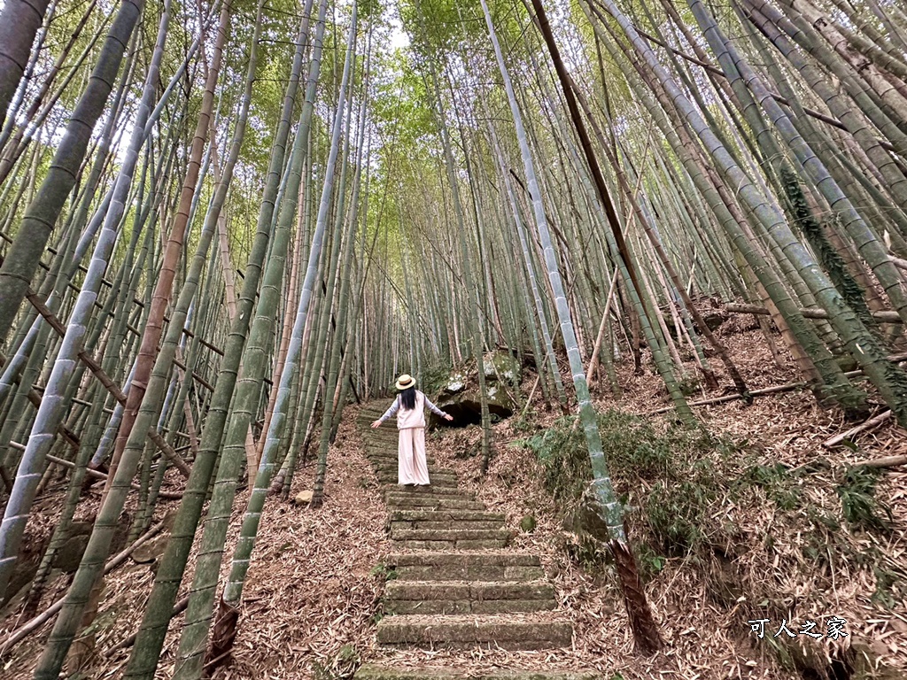 瑞里綠色隧道