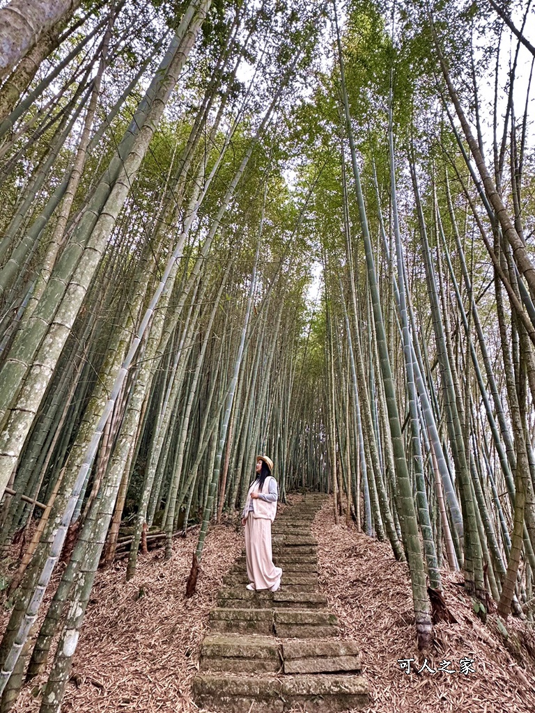 瑞里綠色隧道