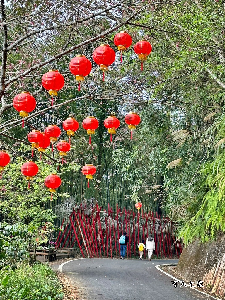 瑞里綠色隧道