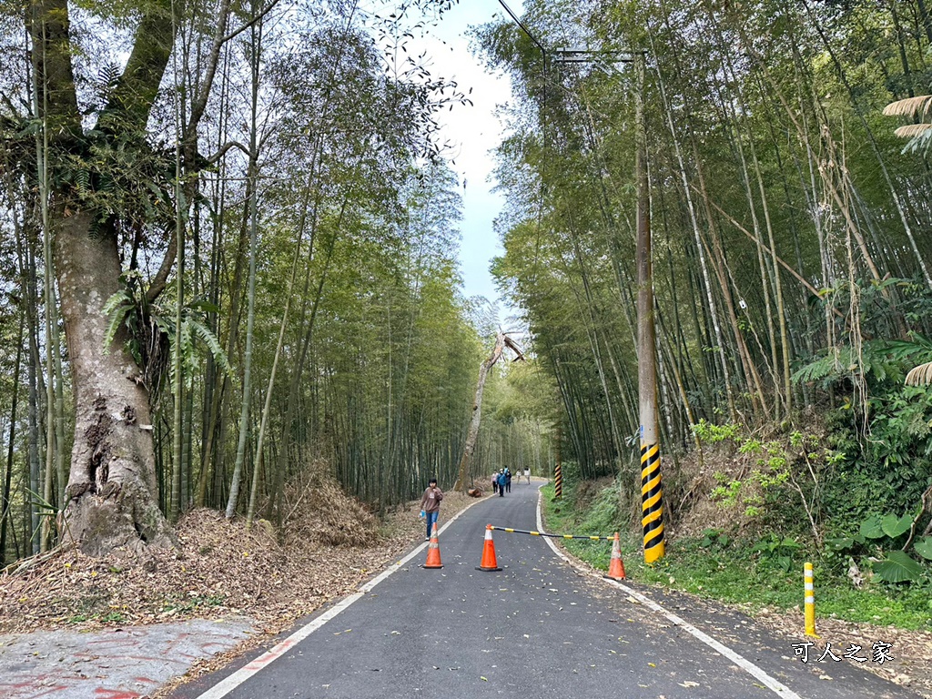 瑞里綠色隧道