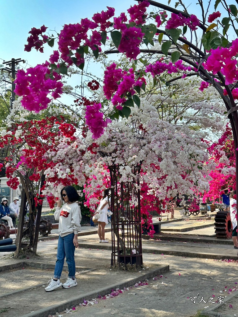 橋頭糖廠,鐵園迷城九重葛